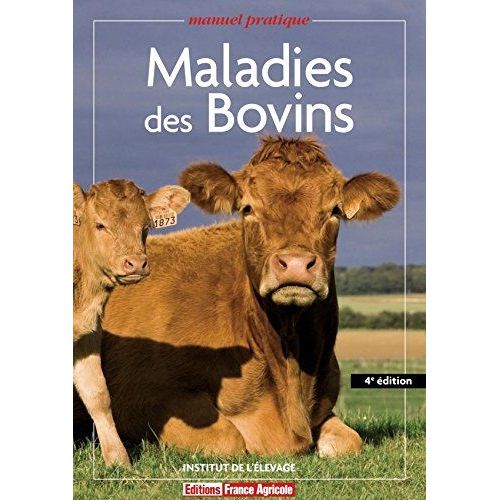 Maladies Des Bovins