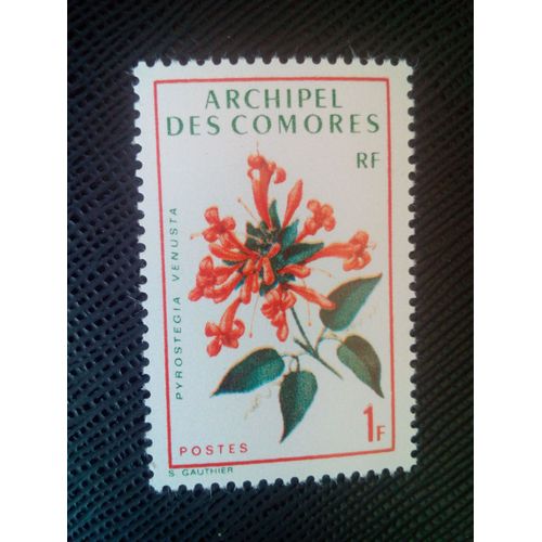 Timbre Comores Yt 69 Pyrostegia Venusta 1971 ( 0050705 )
