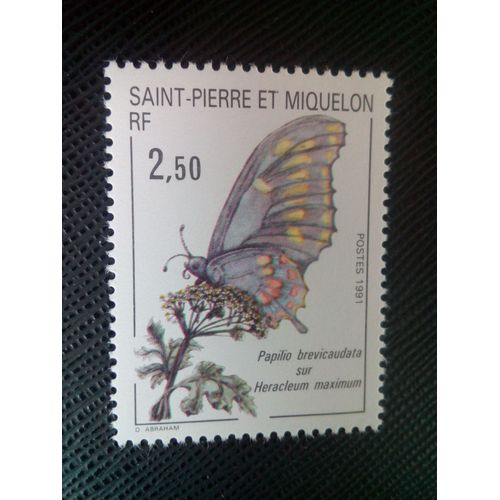 Timbre Saint Pierre Et Miquelon Yt 534 Machaon À Queue Courte (Papilio Brevicauda) 1991 ( 0090705 )