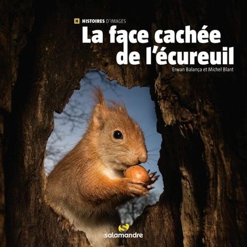 La Face Cachée De L'écureuil