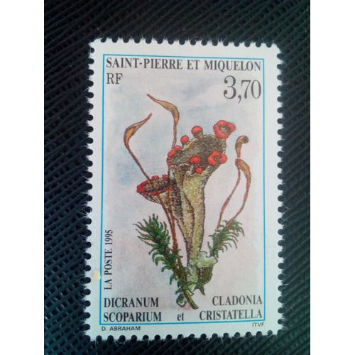 Timbre Saint Pierre Et Miquelon Yt 611 Dicranum Scoparium Et Cladonia Cristatella 1995 ( 0090705 )