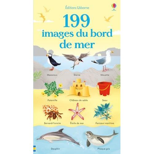 199 Images Du Bord De Mer