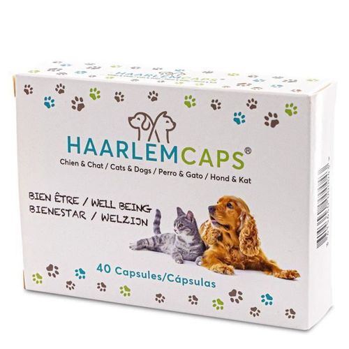 Aliment Médicalisé - Huile De Haarlem - 40 Capsules - Chien / Chat