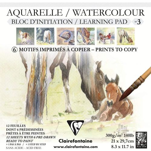 Clairefontaine Bloc Prédessiné N°3 21x21 Aquarelle 300g 12f