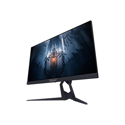 Gigabyte AORUS FI25F - Écran LED - 24.5" - 1920 x 1080 Full HD (1080p) @ 240 Hz - 400 cd/m² - 1000:1 - 0.4 ms - 2xHDMI, DisplayPort