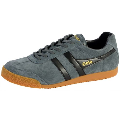 Basket Gola Harrier Suede