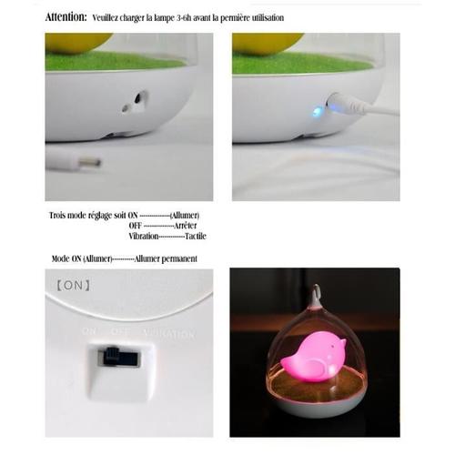 Veilleuse Enfant Bébé rechargeable Veilleuse de Nuit oiseau avec contrôle  tactile rose Lampe de nuit pour enfant fille