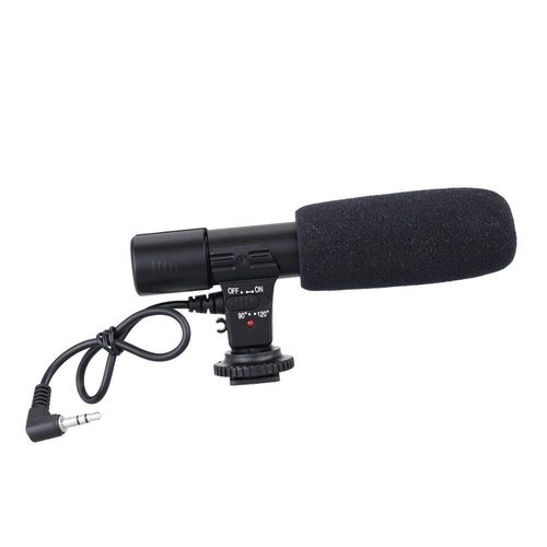Microphone d'enregistrement pour caméscope stéréo