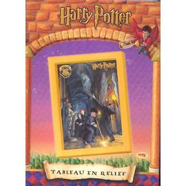 Harry Potter à L'école des Sorciers ebook by J.K. Rowling - Rakuten Kobo
