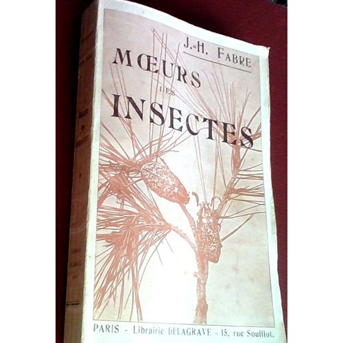 Moeurs Des Insectes
