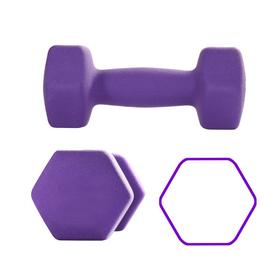 2 Haltères de Musculation 5 kg en Vinyle Violet)