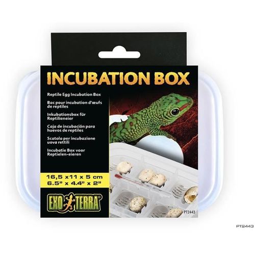 Exo Terra Boite Incubation