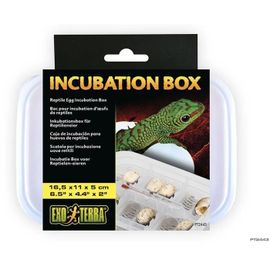 Exo Terra Boite Incubation