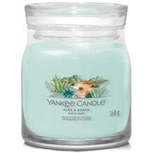 Bougie signature Aloe et Agave grand modèle