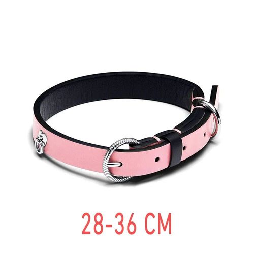 Collier D'animal De Compagnie En Acier Rose Sans Cuir,Collier D'animal De Compagnie En Tissu Noir,Collier D'animal De Compagnie À Graver,Étiquette De Chien Sophia,Ensemble D'animal De Compagnie De