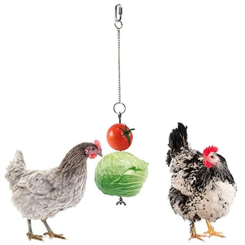Porte fruits en acier inoxydable, oiseau poulet légumes brochettes nourriture pour poules suspendus mangeoire à légumes jouet pour la recherche de nourriture
