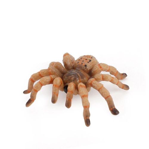 Figurines D'animaux En Forme D'insecte,Modèle Solide,Tartula,Araignée Noire,Halloween,Farce,Effrayant,Drôle,Jouets Éducatifs - Type E