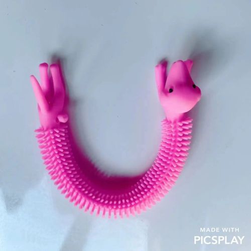 Funny Nairobi Orn Rib Worm Nrelucket Fidget Toys,Corde Commandée,Tpr,Anti-Souligné,String Toys,Through Instituts,Mm,Tsm Vent Toy,1pc - Type 1pcs Puppy Pink