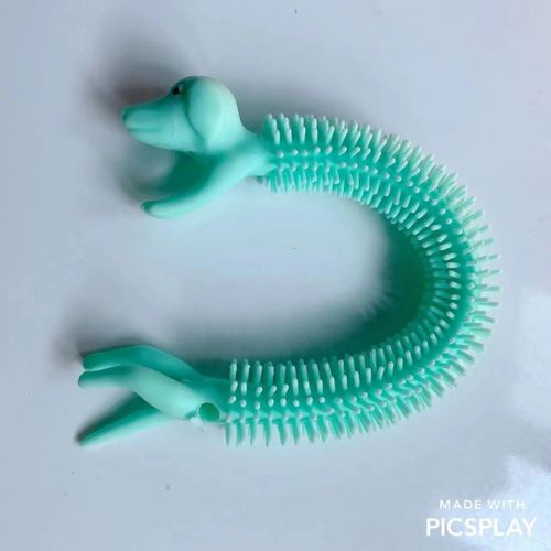 Funny Nairobi Orn Rib Worm Nrelucket Fidget Toys,Corde Commandée,Tpr,Anti-Souligné,String Toys,Through Instituts,Mm,Tsm Vent Toy,1pc - Type 1pcs Puppy Green