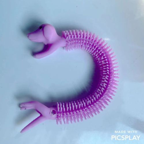 Funny Nairobi Orn Rib Worm Nrelucket Fidget Toys,Corde Commandée,Tpr,Anti-Souligné,String Toys,Through Instituts,Mm,Tsm Vent Toy,1pc - Type 1pcs Puppy Purple