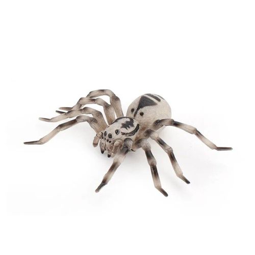 Fausse Araignée Réaliste,Modèle D'action,Figurines D'insectes,Jouets Pour Enfants,Accessoires De Ixd'halloween #F
