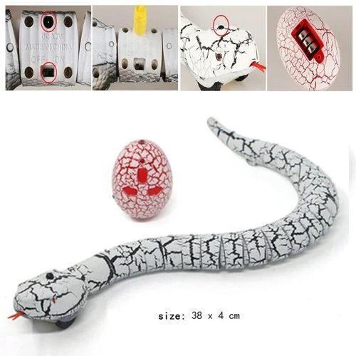 Jouet Gag Électrique Pour Enfant Garçon,Blagues Pratiques,Salle Rc,Télécommande,Animaux,Robots,Animaux,Aile,Farce,Araignée,Requin - Type D