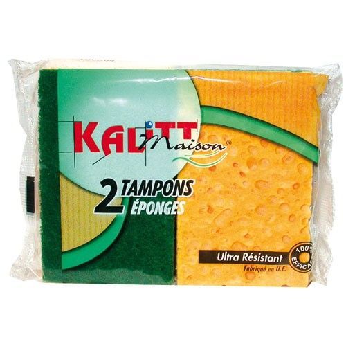Lot de 2 tampons éponge
