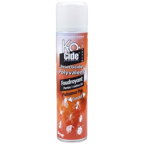 Insecticide aérosol foudroyant polyvalent - 400 mL
