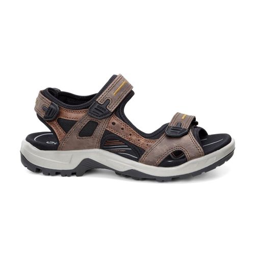 Ecco Sandales De Marche Sespresso/cocoa Marrons
