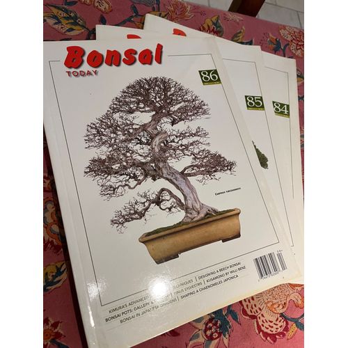 Lot De 3 Revues Bonsaï Today