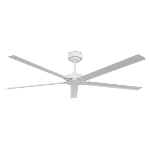 Vector