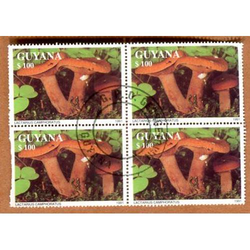 Lot De 3 Timbres Oblitérés - " Lactarius Camphoratus " - Guyana - 1991