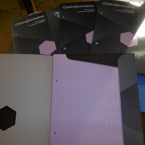 Lot De 4 Paquets De 100 Feuillets Mobiles Simples Perforees 17x22 Cm Clairefontaine Ref. 134