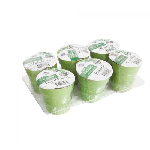 Permanent Mixte Plateau De 6 Pots Bamboo 8.5 Cm - P