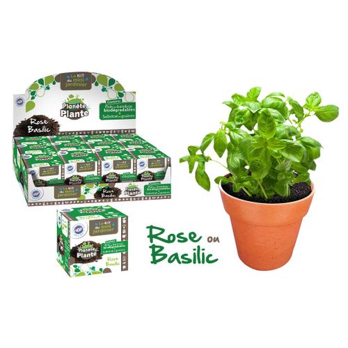 Permanent Mixte Pres/ 12 Pots En Bamboo Avec Graine