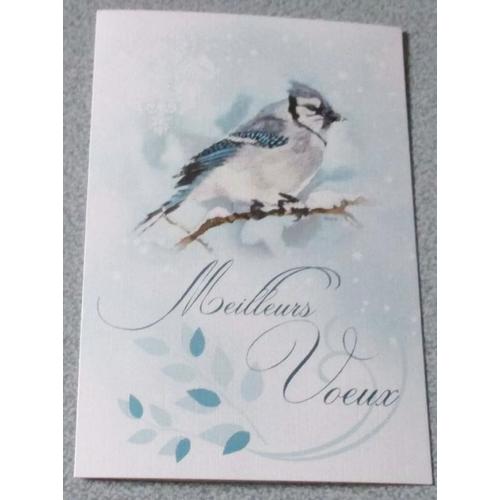 Carte Double Avec Un Oiseau Bleu Posé Une Branche Dans Un Décor Hivernal Gris Bleuté - Mention Meilleurs Voeux - 11.5x17.5cm - Avec Enveloppe