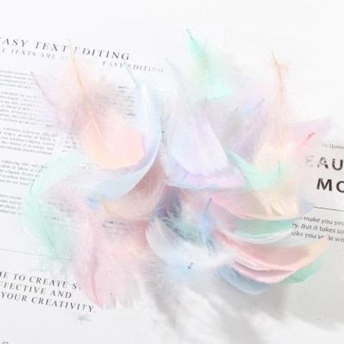 mélange de couleurs - Plumes naturelles d'oie colorées populaires, pour accessoires de photographie ins, décoration de fond de Studio Photo