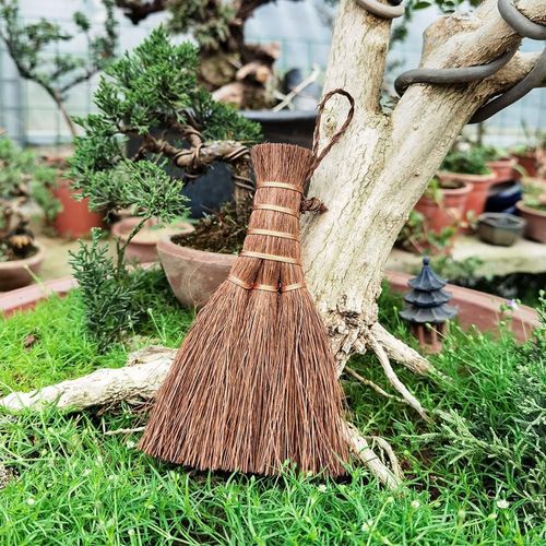 S 15CM - Brosse de palmier naturelle pour le nettoyage des troncs, outil de bonsaï de jardin, brosse de