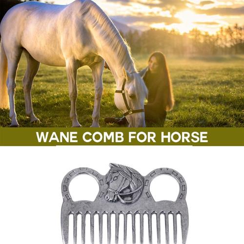 Acier Inoxydable Cheval Poney Toilettage Peigne Outil Curry Peigne Métal Cheval Toilettage Outil Pour Équitation Soins Produits