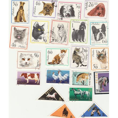 21 Timbres Oblitérés De Pologne - Chiens, Chats Et Animaux Domestiques
