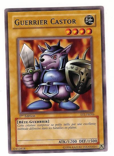 Lot 1000 cartes Yu-Gi-Oh! + Boîte de rangement - VF/VO