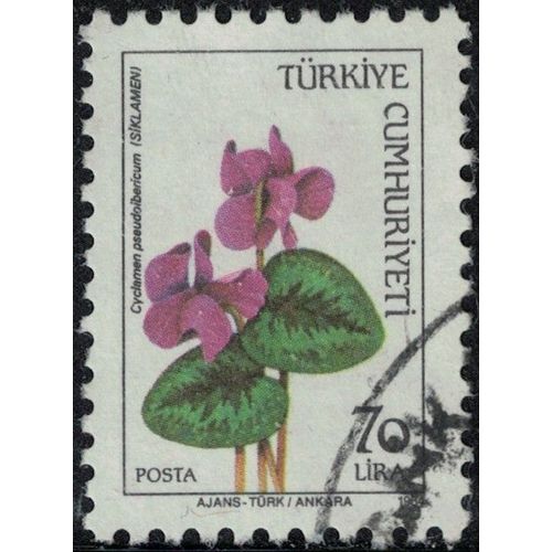 Turquie 1984 Oblitéré Used Plante Fleur Cyclamen Pseudoibericum Pseudibericum Su