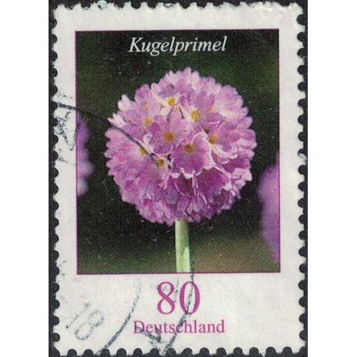 Allemagne 2014 Oblitéré Rond Used Flower Ball Primrose Fleur Ballon D'onagre Kugel Primel