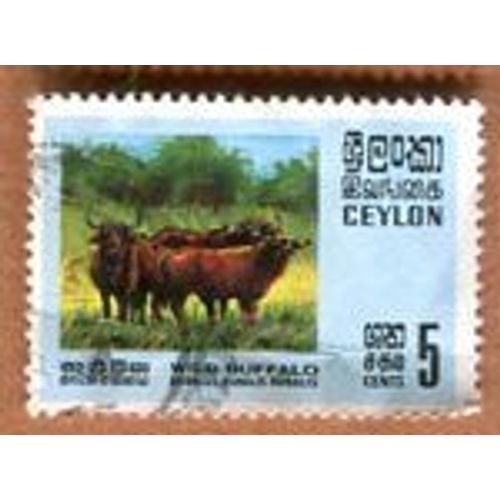 Timbre Oblitéré - " Wild Water Buffalo " - Ceylan - 1970
