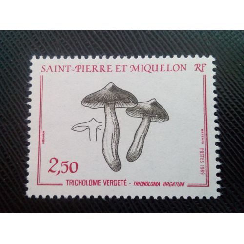 Timbre Saint Pierre Et Miquelon Yt 497 Verget Tricholome (Tricholoma Virgatum) 1989 ( 050805 )