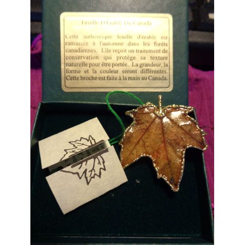 Véritable Feuille D'érable Montée En Broche, Fait Main, Pièce Unique, Avec Certificat Dans Son Étui D'origine, Jamais Portée