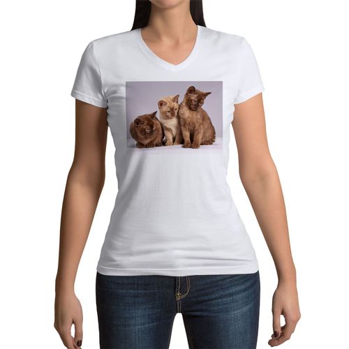T-Shirt Femme Col V Bebe Chats Siamois Persan Poils Longs Chat Trio Mignon