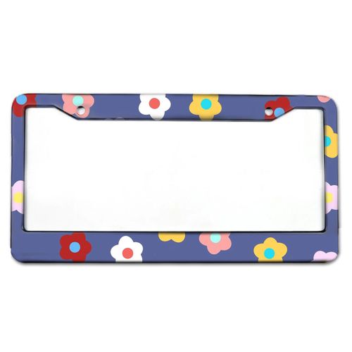 Cadre De Plaque D'immatriculation En Alliage D'aluminium,Spécification Américaine,Canada,Mexique,Général,1 Pc - Type 10