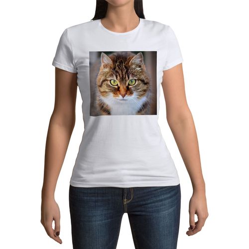 T-Shirt Femme Col Rond Magnifique Chat Tigre A Poil Long Gros Plan Yeux Vert