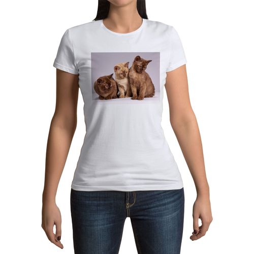 T-Shirt Femme Col Rond Bebe Chats Siamois Persan Poils Longs Chat Trio Mignon
